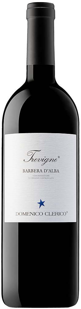 2022 Trevigne Barbera d'Alba DOC