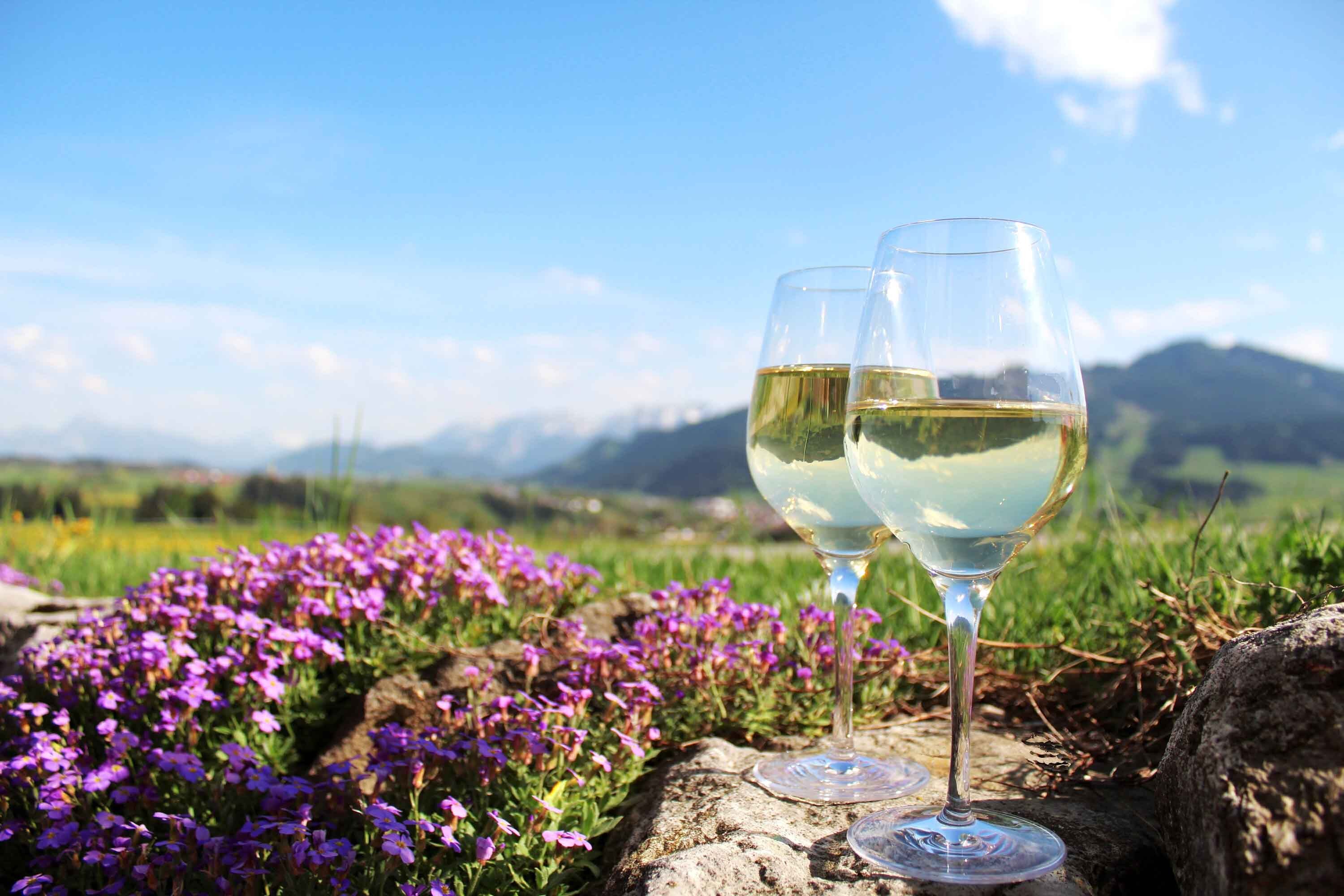 Due calici di vino bianco all’aperto con vista sulle colline, offerte vini bianchi sotto i 10 euro.