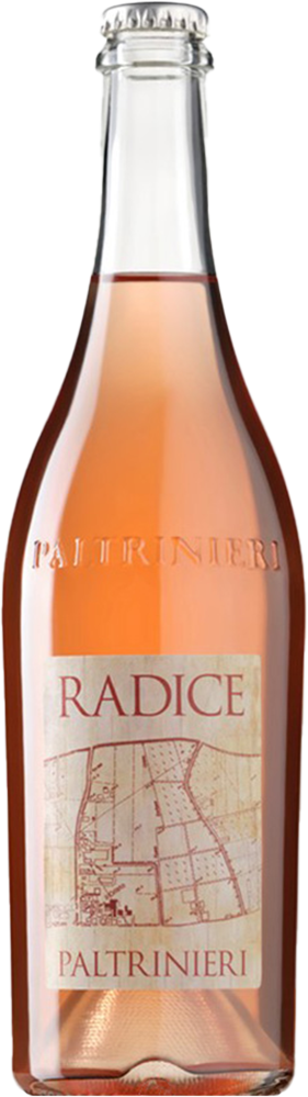 2023 Radice Lambrusco di Sorbara DOC