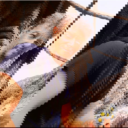 Massimiliano Fornero