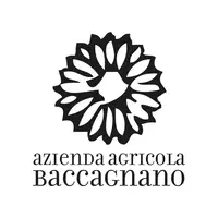 Baccagnano