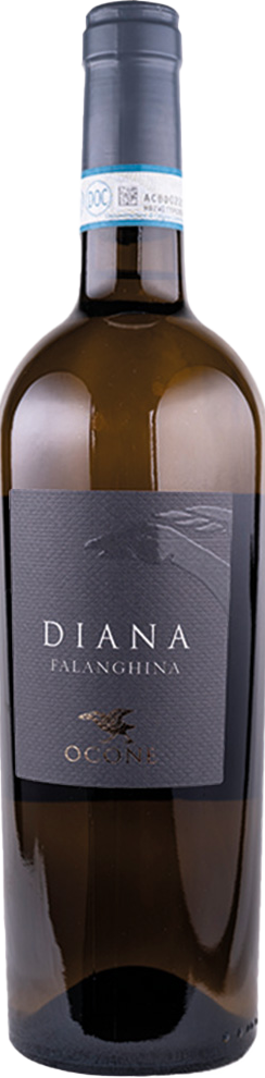 2024 Diana Falanghina Sannio DOC
