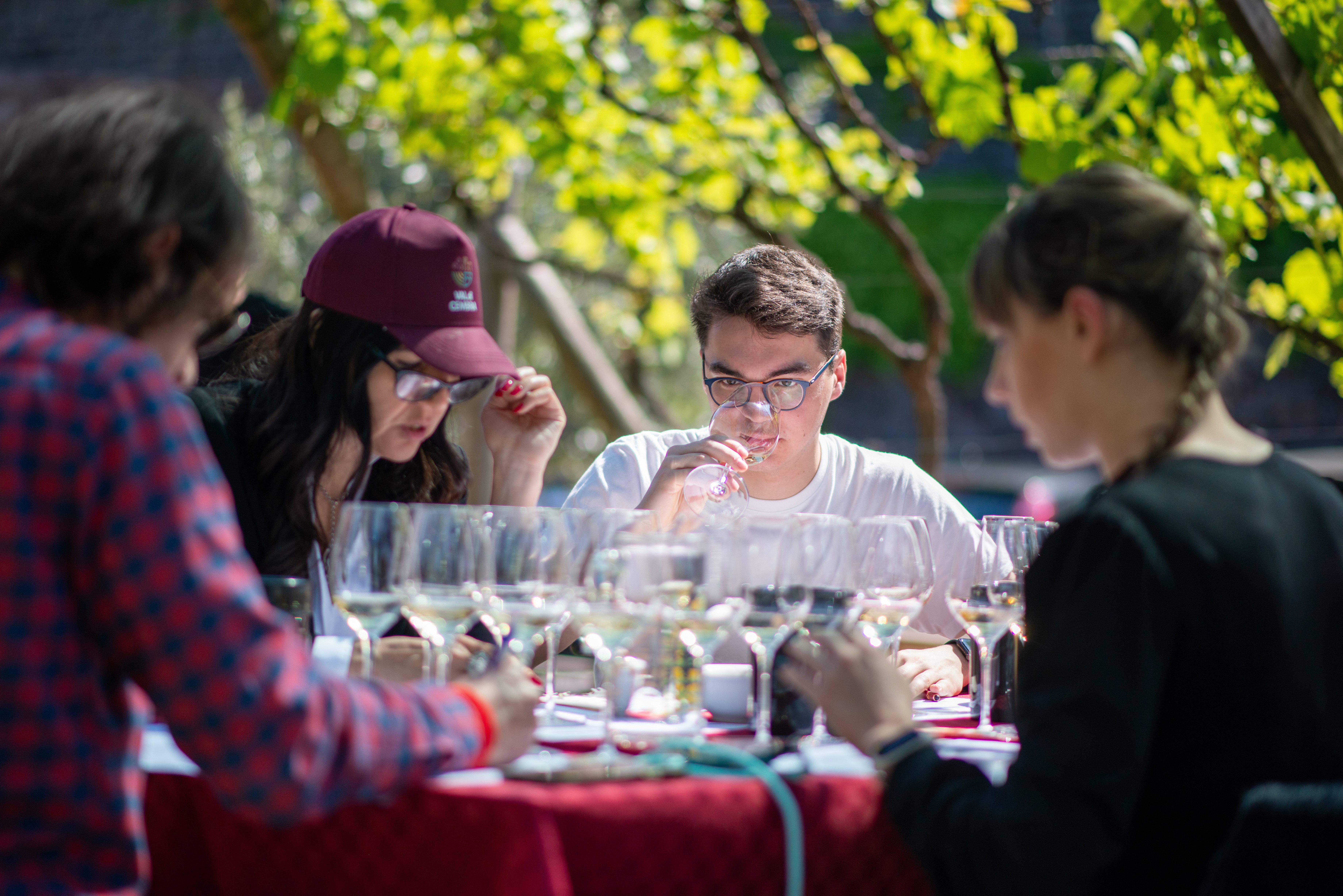 Degustazione di vini con Alberto Rabachin sommelier e wine communicator