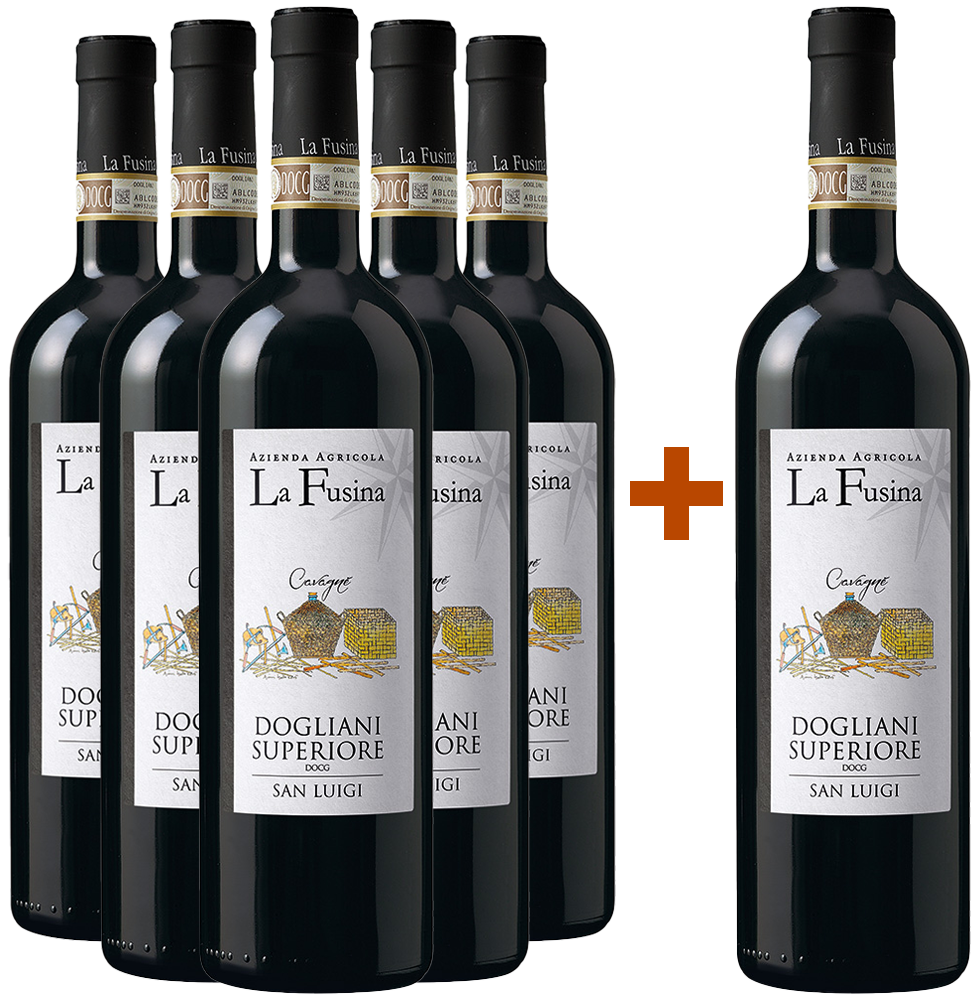 5+1 San Luigi Cavagnè Dogliani Superiore DOCG