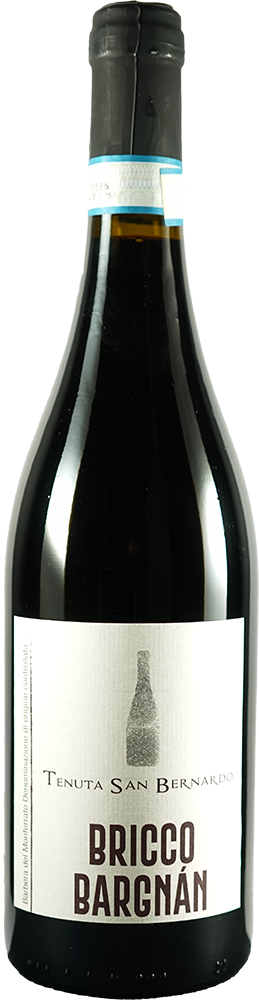 2023 Bricco Bargnàn Barbera del Monferrato DOC