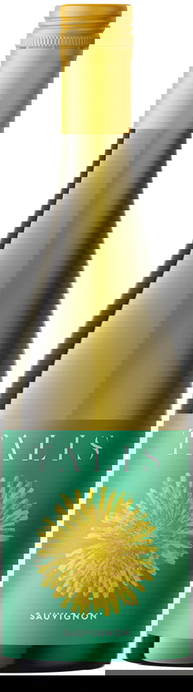 2022 Talis Sauvignon Friuli DOC