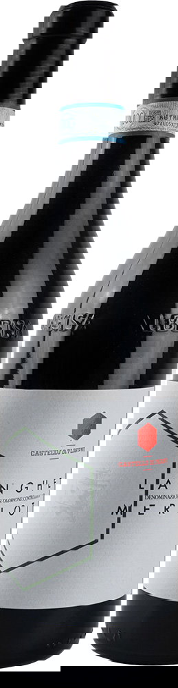 2020 Merlot Langhe DOC