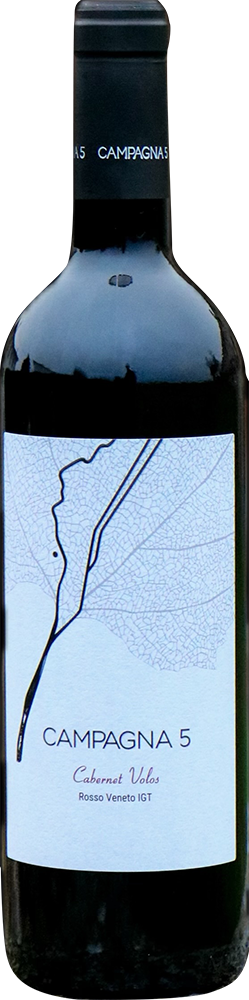 2022 Cabernet Volos Veneto IGP
