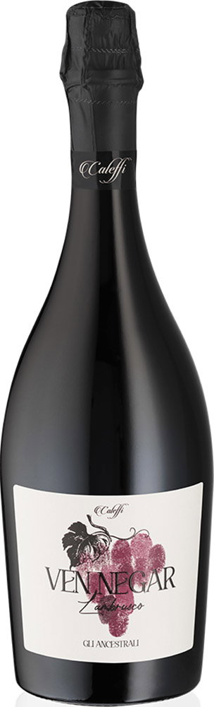 2020 Le Regone Ven Negar