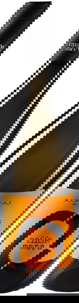 2024 Bianco Marche IGP