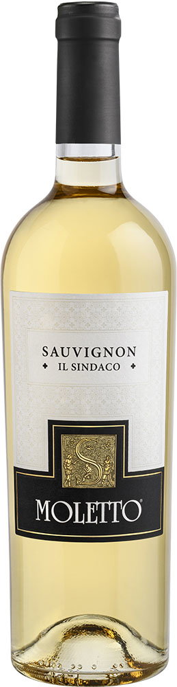 2024 Il Sindaco Sauvignon Trevenezie IGP