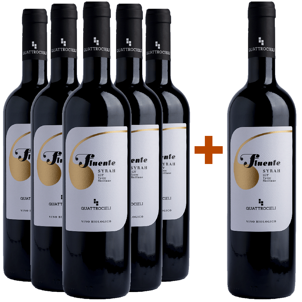 5+1 Fluente Syrah Terre Siciliane IGP BIO