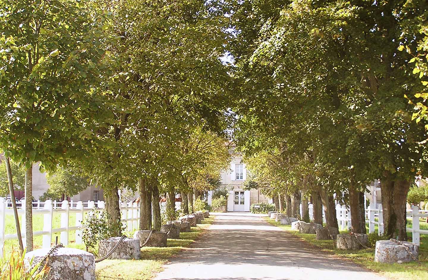 Ingresso di una tenuta vinicola a Saint-Émilion Grands Crus AOP
