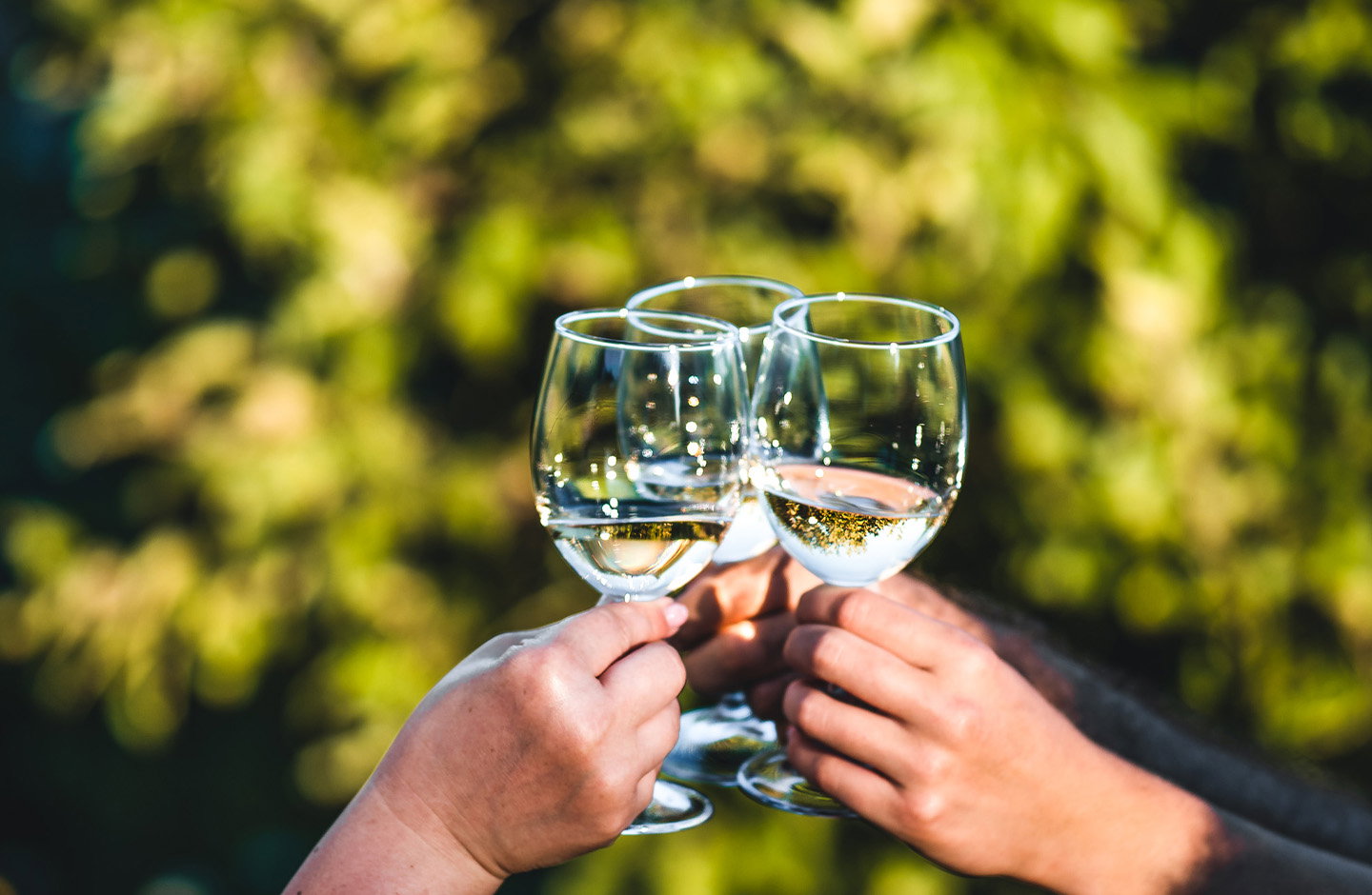 Brindisi con calici di spumante Demi-Sec