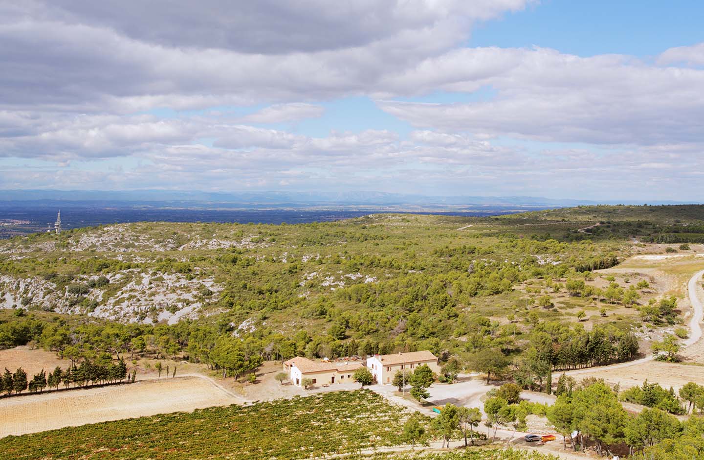 Paesaggio collinare Languedoc-Roussillon, vegetazione mediterranea e vigneti