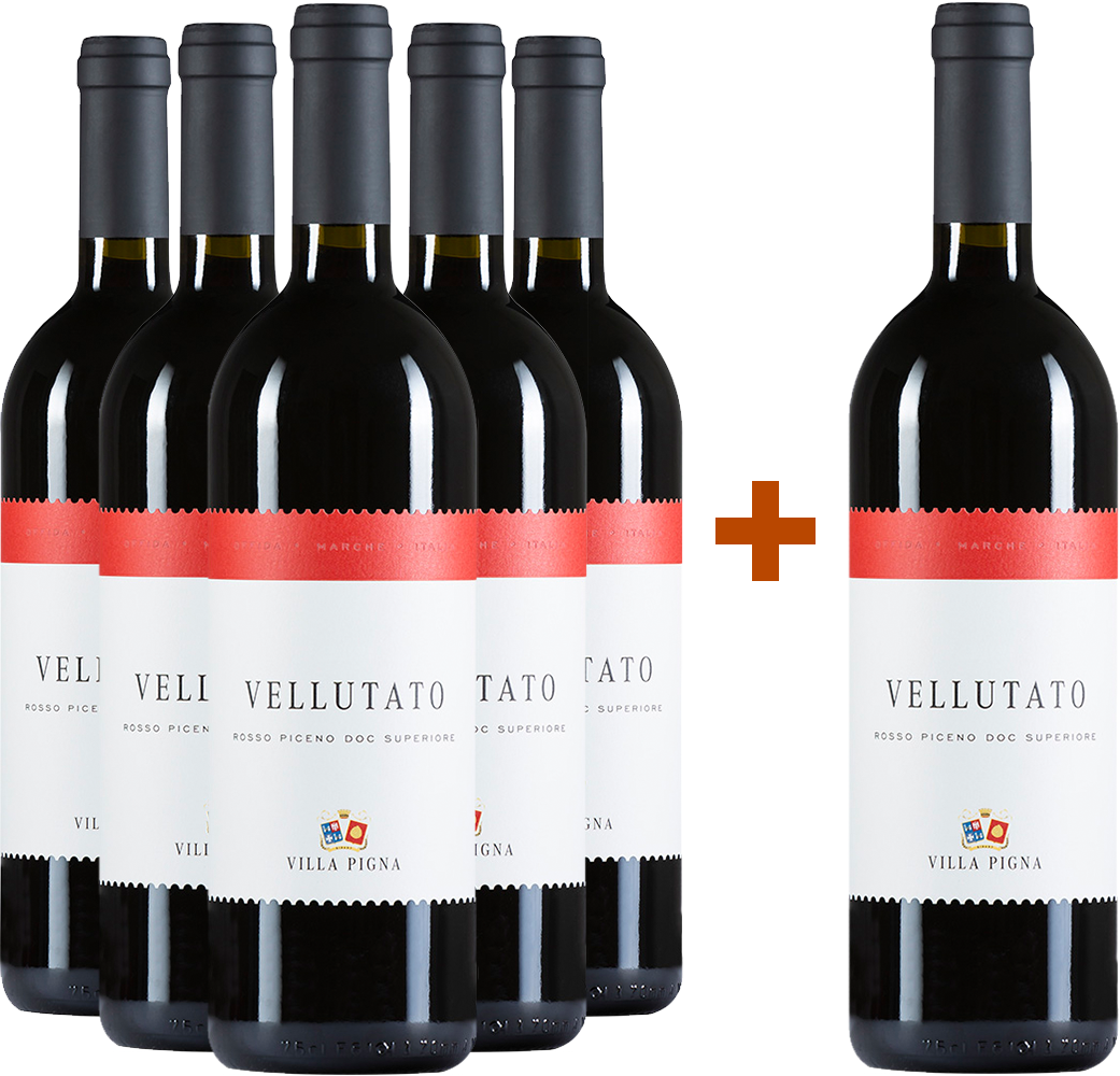 5+1 Vellutato Rosso Piceno Superiore DOC