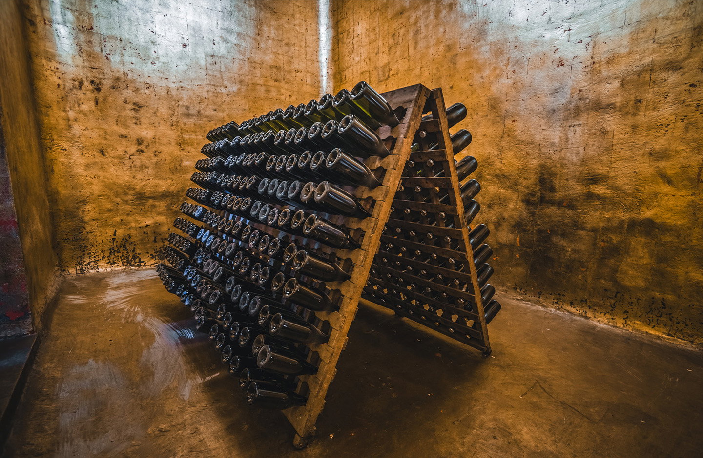 Bottiglie di spumante in affinamento su pupitre in cantina – lavorazione tradizionale di vini premiati