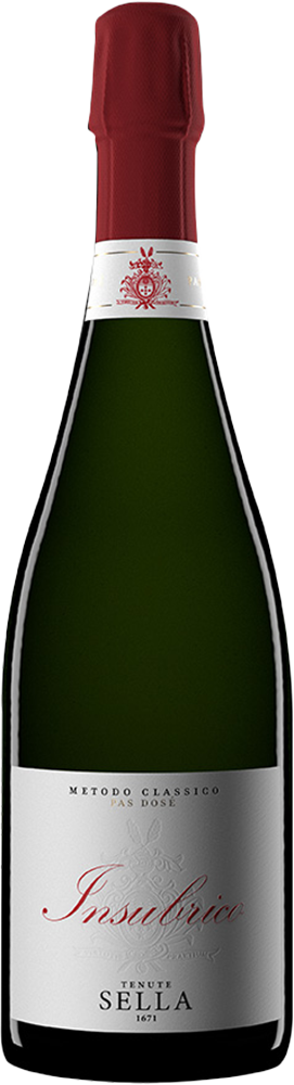 2023 Insubrico Metodo Classico