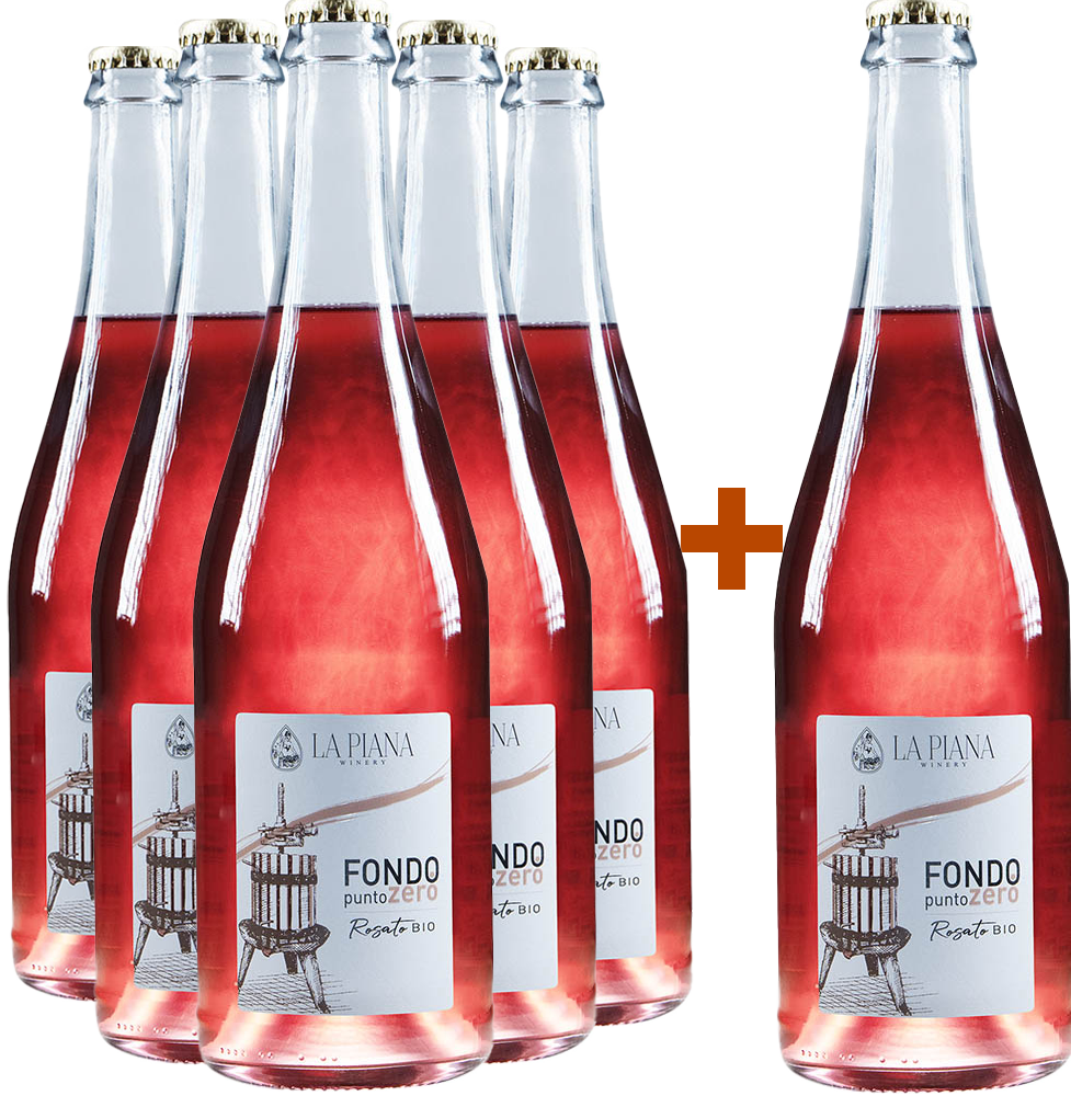 5+1 Fondo Punto Zero Rosato Lambrusco Grasparossa di Castelvetro DOC BIO