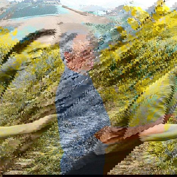 Giuseppe Cocci Grifoni