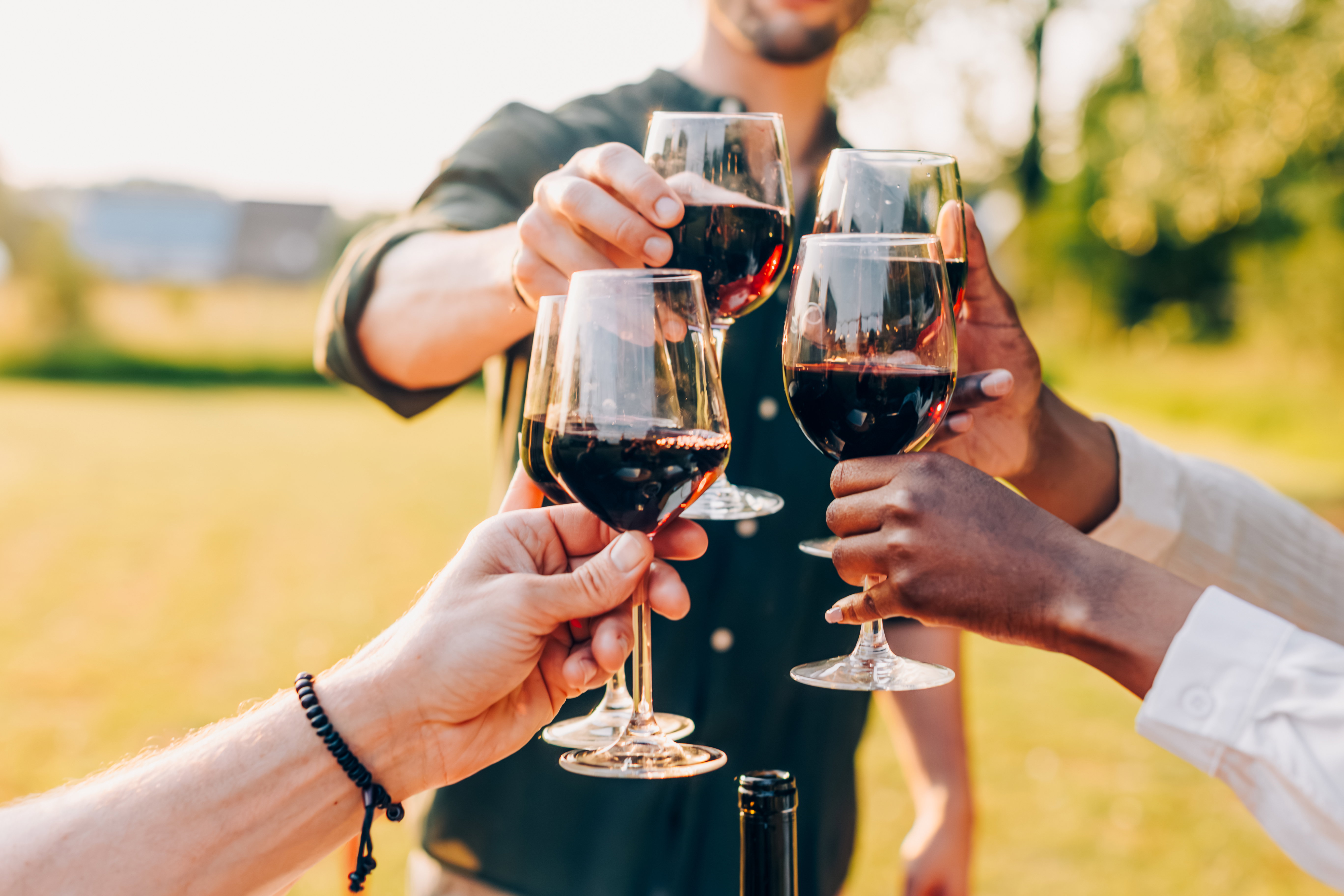 Brindisi con vino rosso di Borgogna all’aperto
