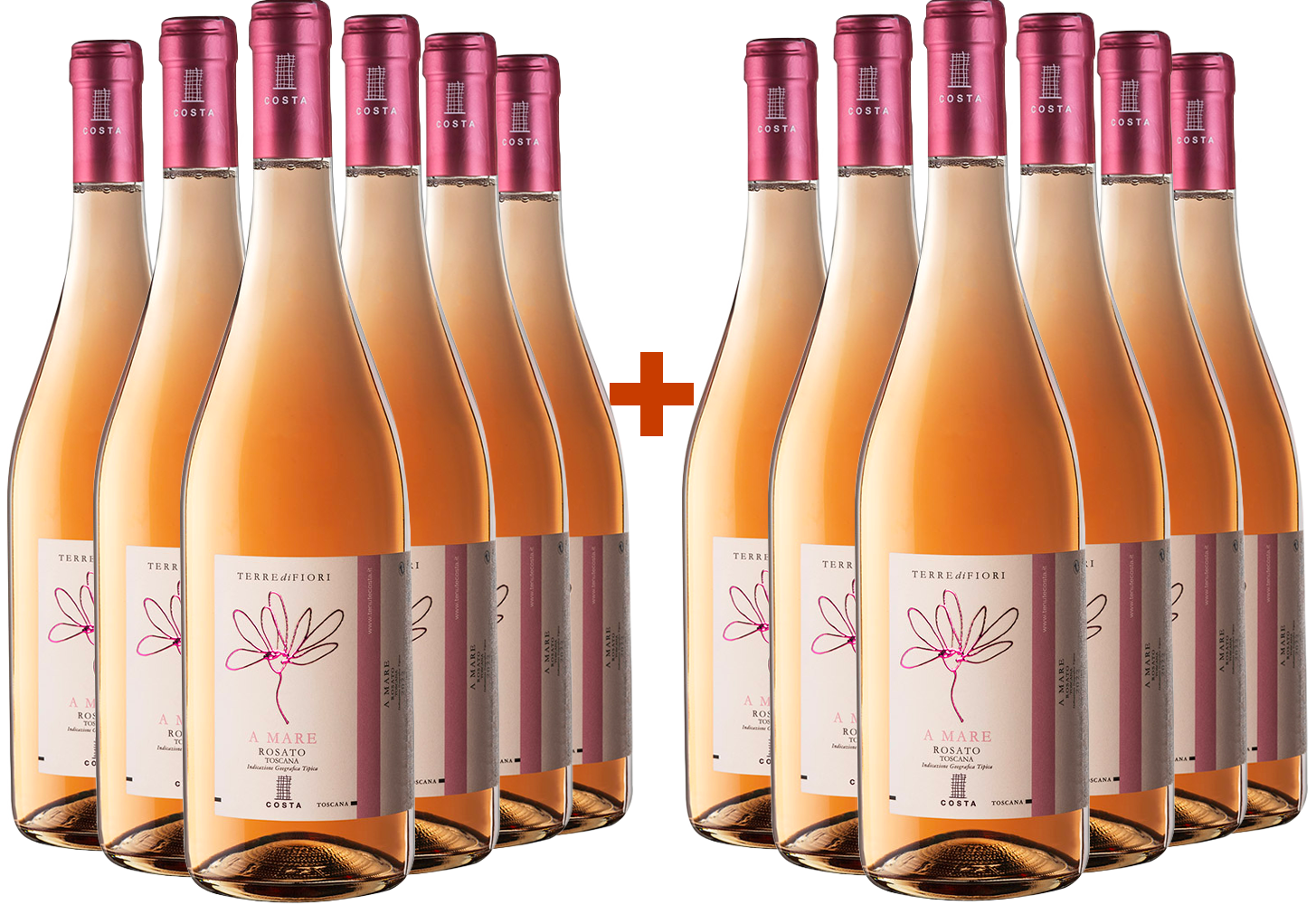 6+6 Terredifiori A Mare Rosé Toscana IGP