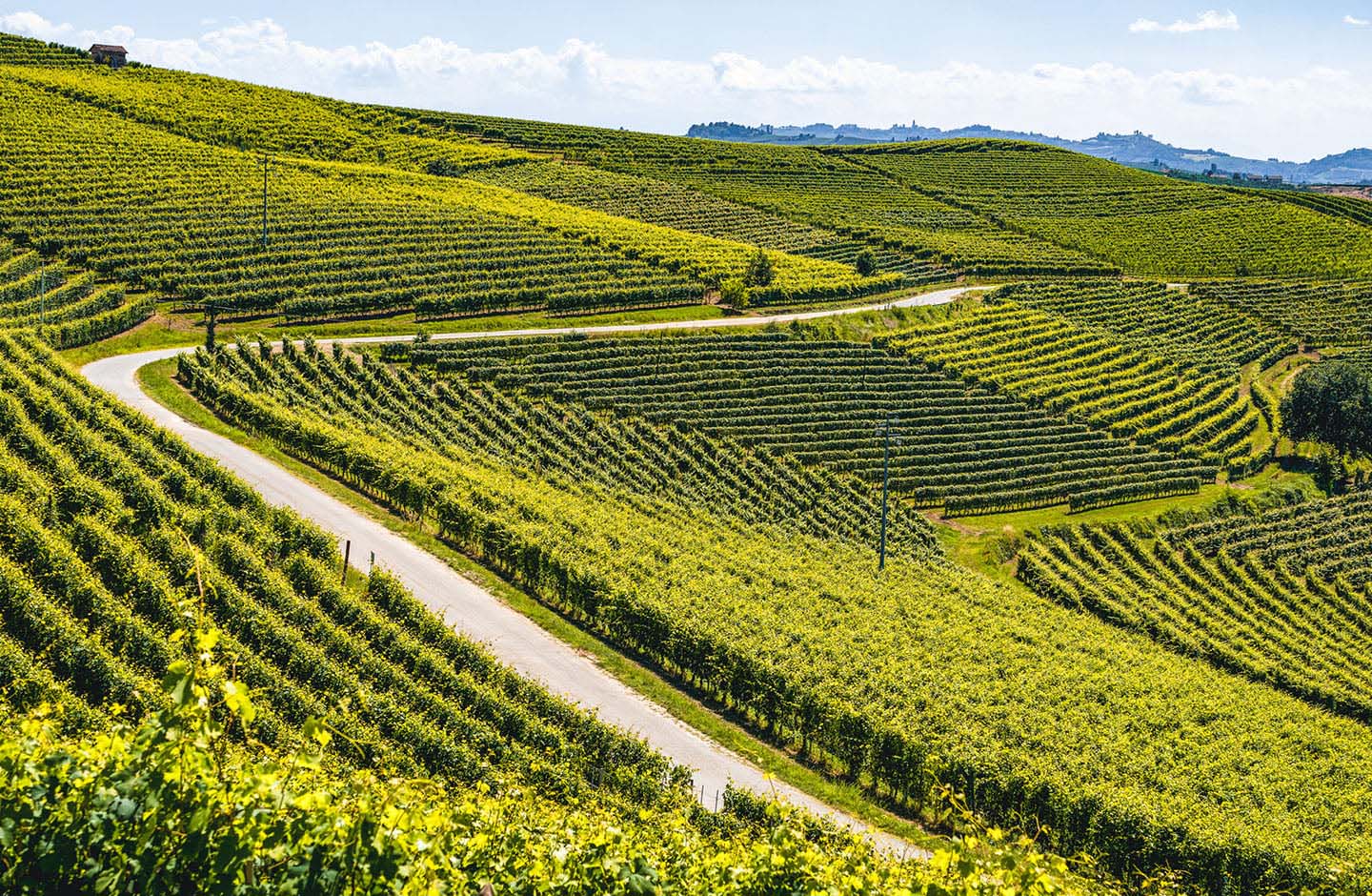 Colline ricoperte da vigneti di Soave nel Veneto, panorama delle zone di produzione del Soave DOC