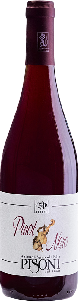 2022 Pinot Nero Vigneti delle Dolomiti IGP BIO