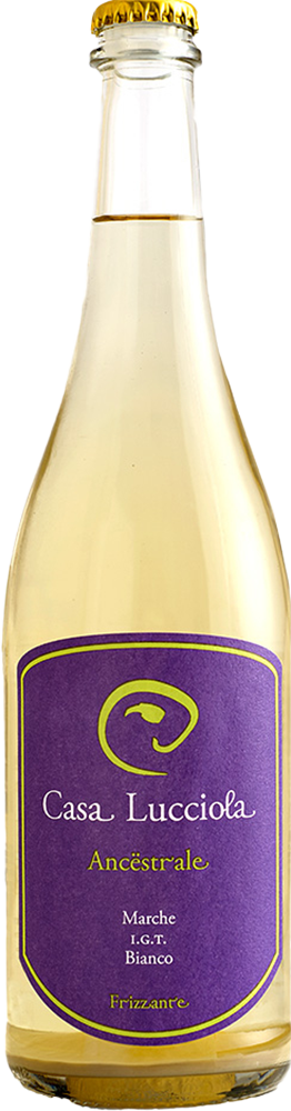 2024 Ancestrale Marche IGP BIO