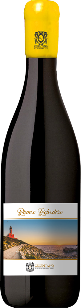 2024 Bianco Belvedere