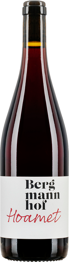 2022 Hoamet Vernatsch Mitterberg IGP