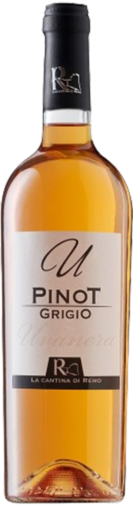 2022 Pinot Grigio Terre degli Osci IGP