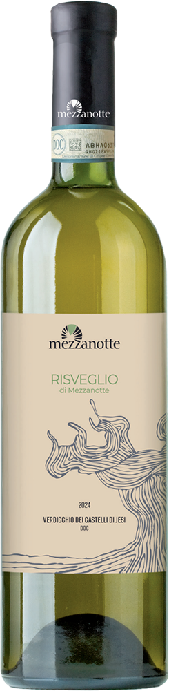 2024 RISVEGLIO - Verdicchio dei Castelli di Jesi DOC