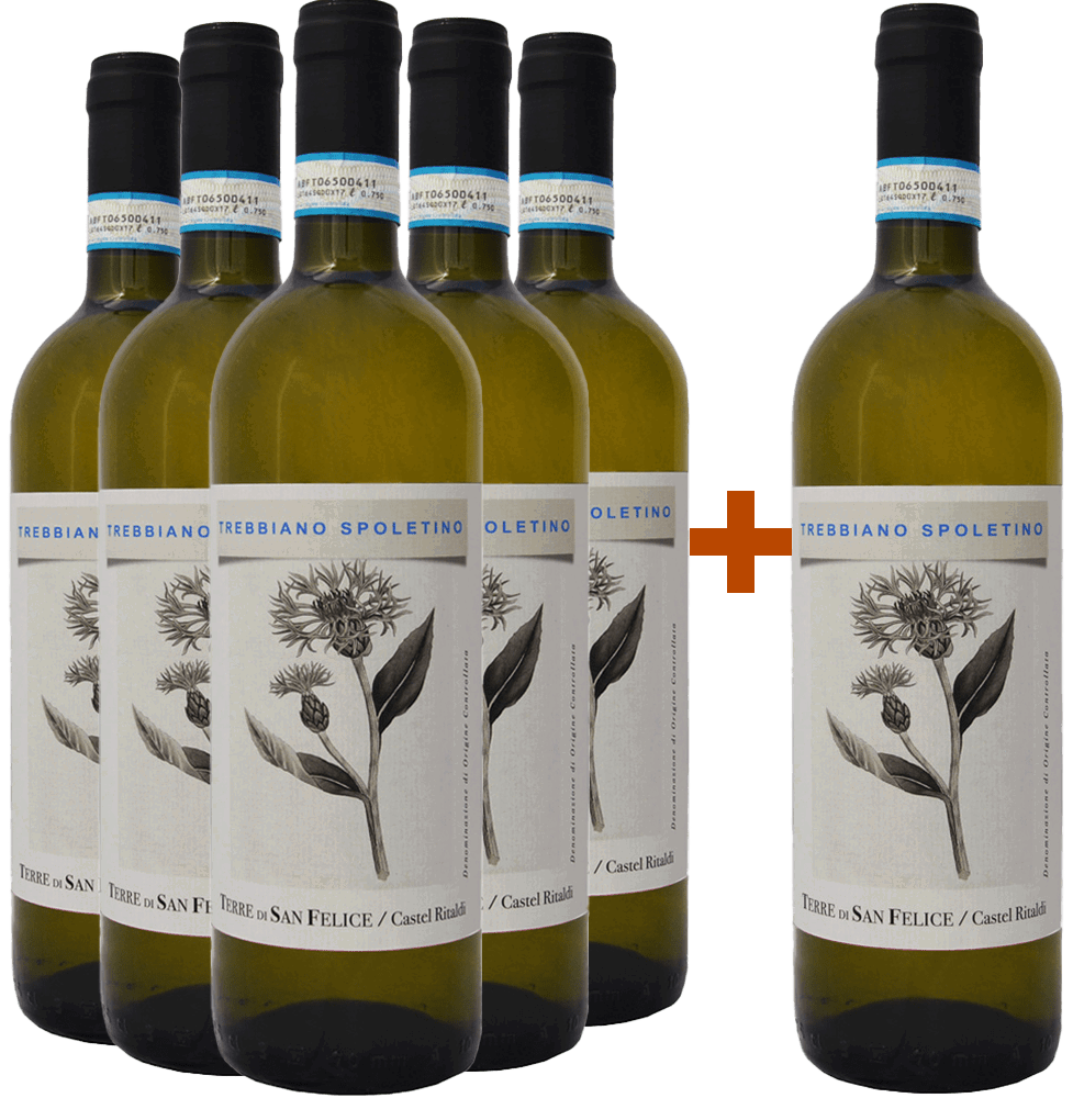 5+1 Trebbiano Spoletino Spoleto DOC