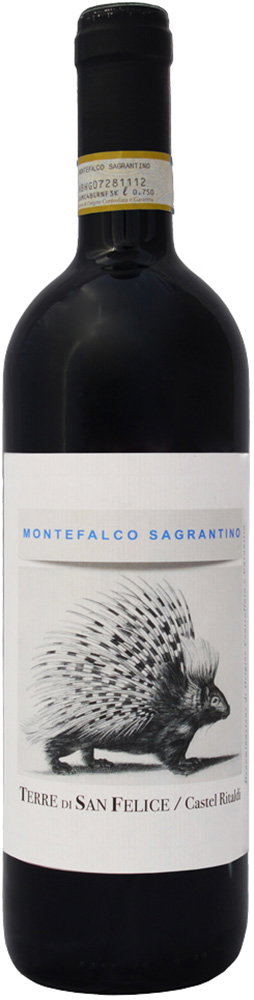 2019 Montefalco Sagrantino DOCG