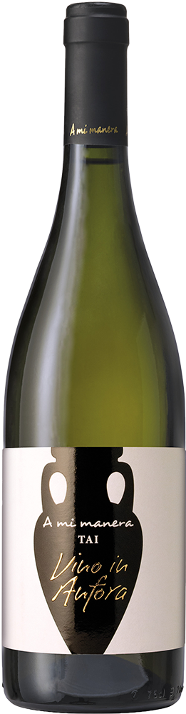 2023 Tai Anfora Veneto IGP