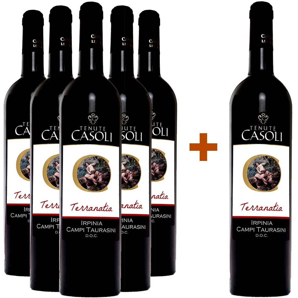 5+1 Terranatia Irpinia Campi Taurasini DOC