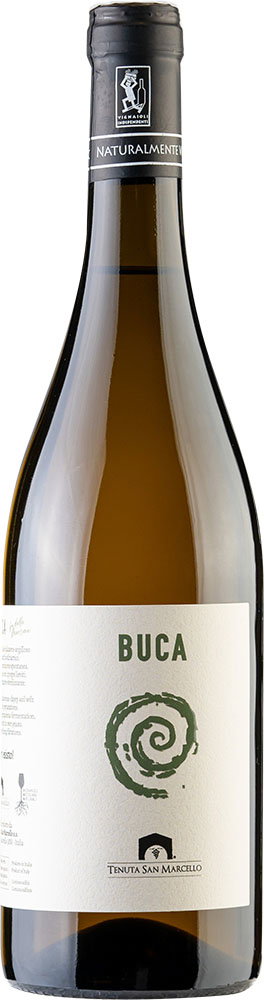 2024 Buca Verdicchio dei Castelli di Jesi Classico DOC BIO