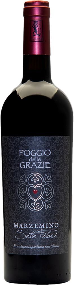 2022 Sette Filari Marzemino Veneto IGP BIO