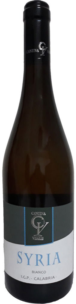 2024 Syria Calabria IGP