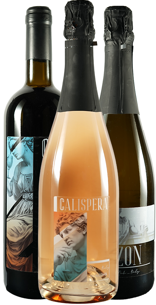 Box degustazione Winelab & Distribution