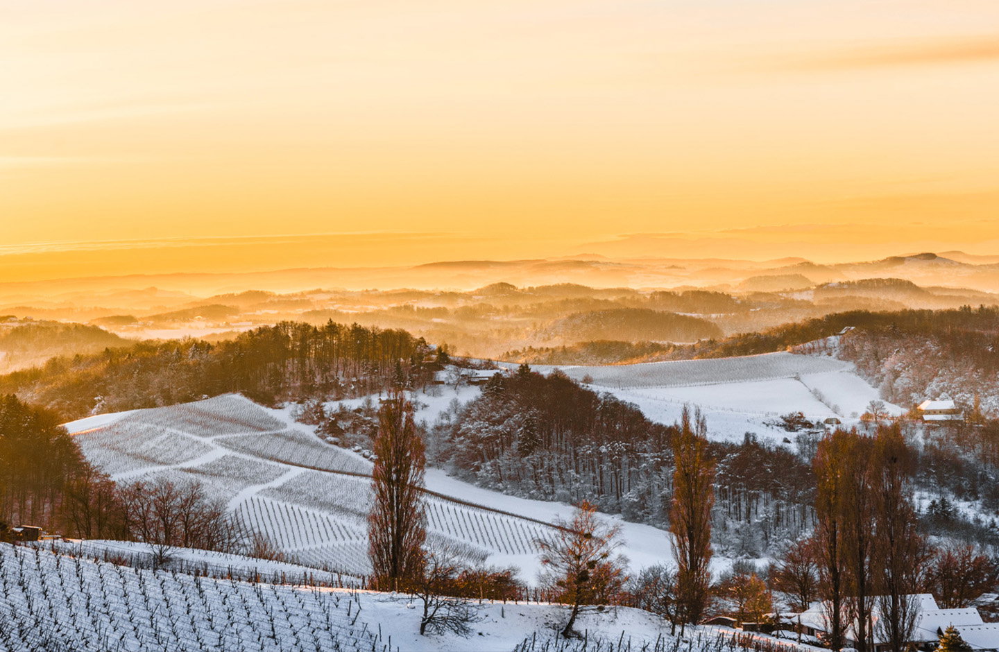 Tramonto invernale sui vigneti alpini, atmosfera après-ski.