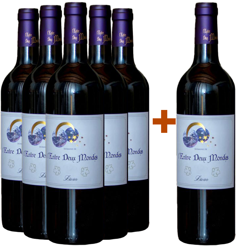 5 + 1 Cuvée Divin BIO