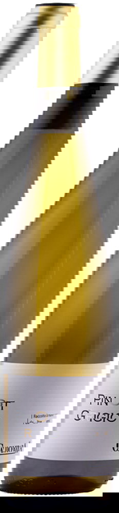 2022 Pinot Grigio selezione DeI 20 Anni Oltrepò Pavese DOC