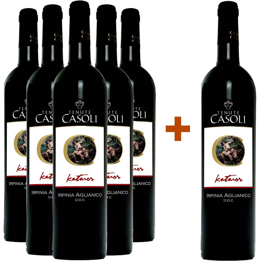 5+1 Kataros Irpinia Aglianico DOC