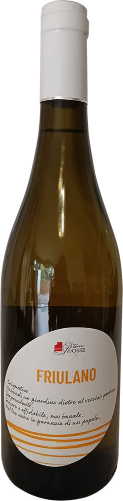 2024 Friulano Friuli DOC