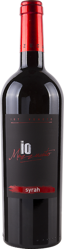 2017 Syrah Veneto IGP