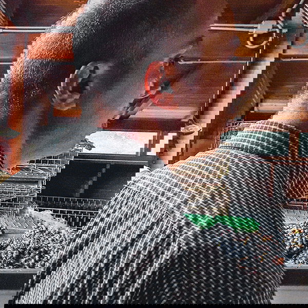 Salvatore Dell'Aquila