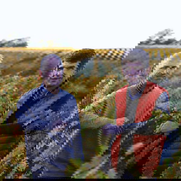 Thomas et Denis Gambier