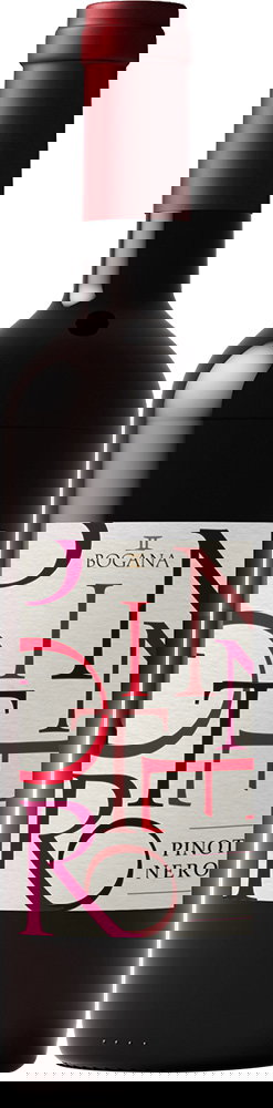 2023 Pinot Nero Trevenzie IGP